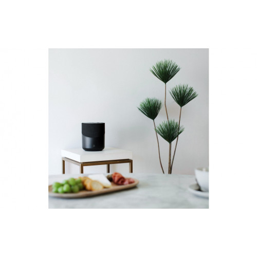 Bluesound PULSE M Compact Wireless Streaming Speaker Black