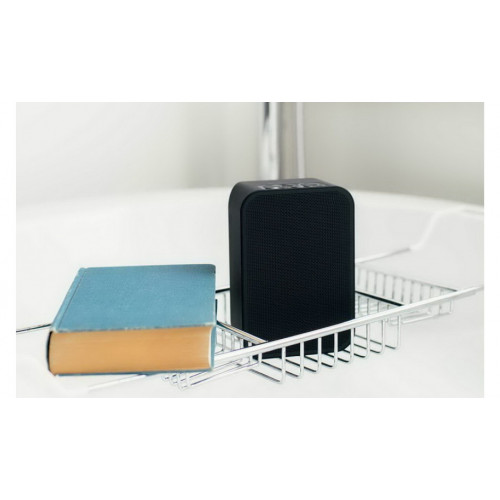 Bluesound PULSE FLEX 2i Wireless Streaming Speaker Black