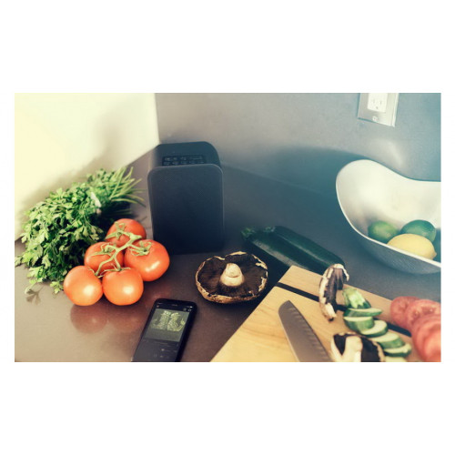 Bluesound PULSE FLEX 2i Wireless Streaming Speaker Black