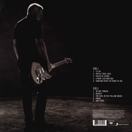 Вініловий диск David Gilmour / Rattle That Lock (LP)