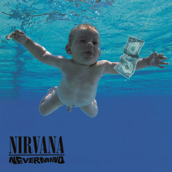 Nirvana / Nevermind Vinyl Disc (LP)