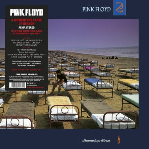 Pink Floyd Vinyl disc / A Momentary Lapse Of Reason (LP)