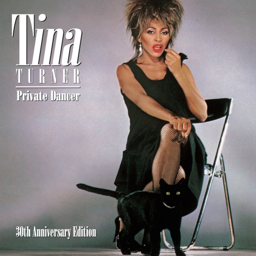 Вініловий диск Tina Turner / Private Dancer (LP)