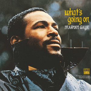 Marvin Gaye Vinyl Disc / What's Going On (LP)